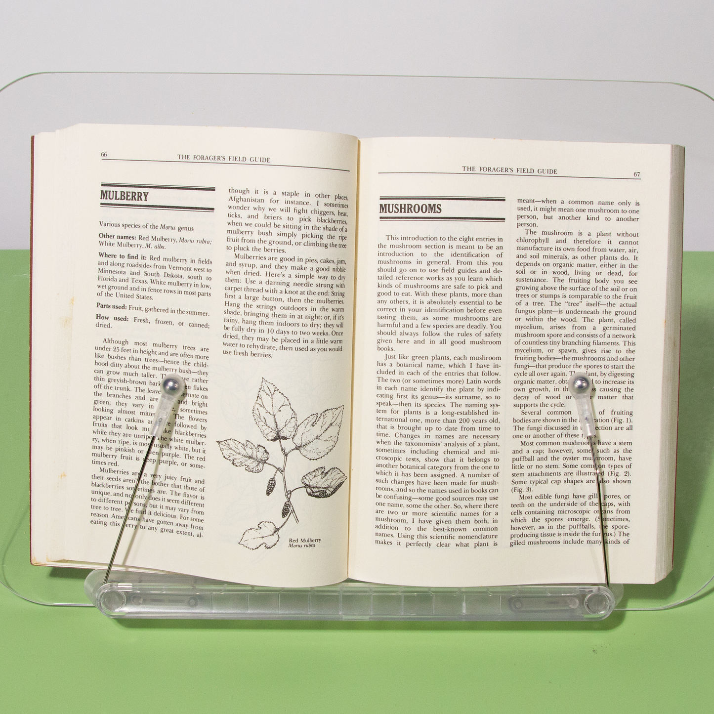 Wild Foods Field Guide & Cookbook, 1985